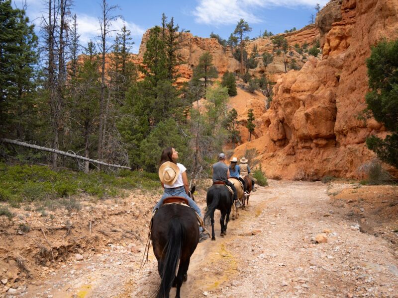 Scenic Horseback Riding Adventure in Sedona